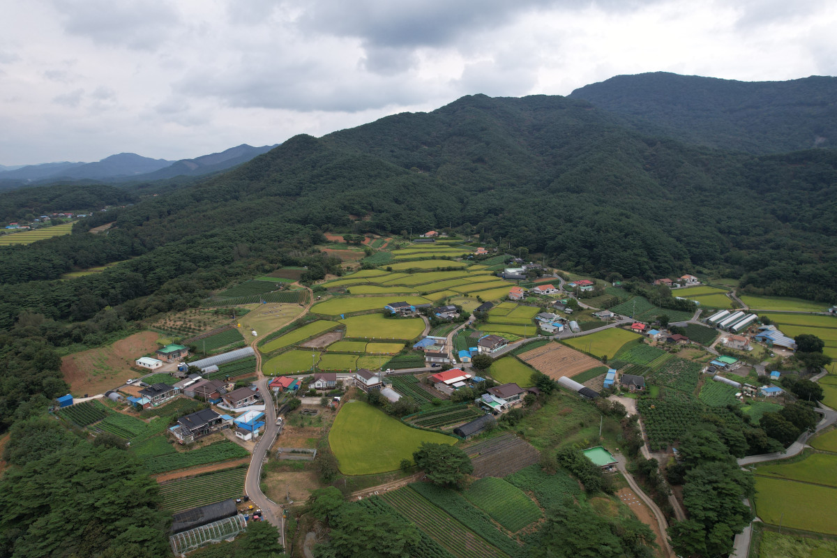 ▲충남 보령 소양마을 다랑이논 전경 (사진제공=농림축산식품부)