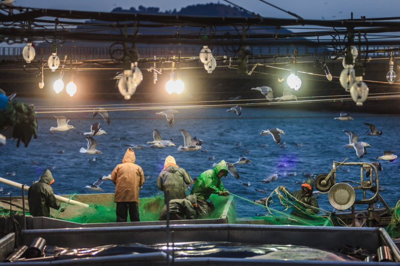 ▲어민들이 새벽 조업을 하고 있다. (사진제공=한국어촌어항공단)