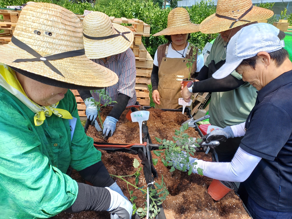▲뇌졸중 후유장애를 겪고 있는 환자들이 재활치유농업 프로그램에 참여하고 있다. (사진제공=한국농업기술진흥원)