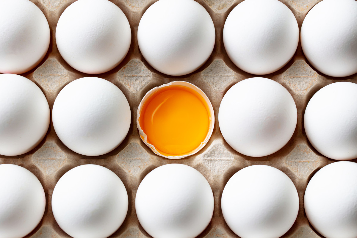 (게티이미지뱅크)