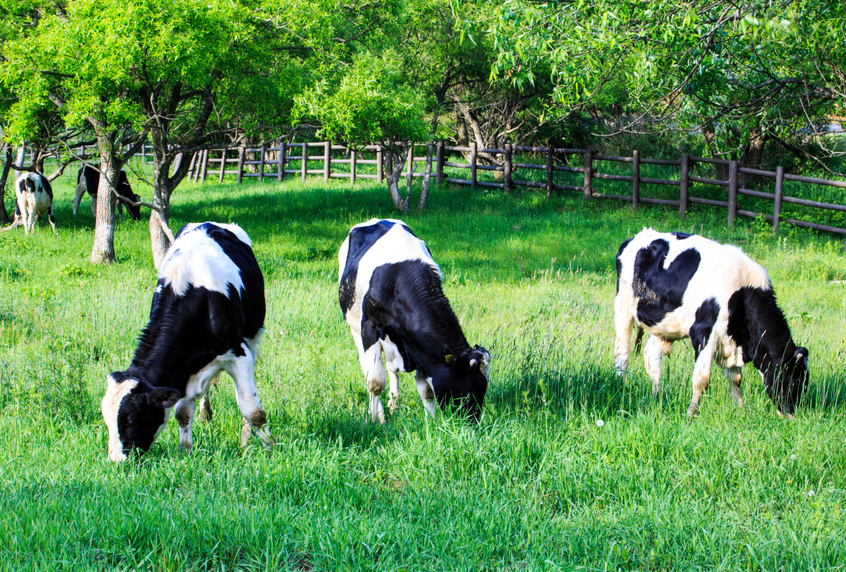 (게티이미지뱅크)