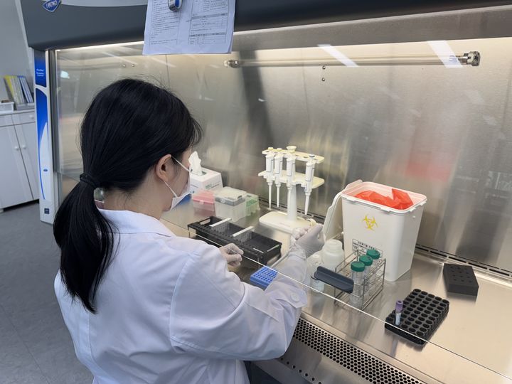 ▲전남보건환경연구원이 쯔쯔가무시증 검사 장면. (사진제공=전남보건환경연구원)