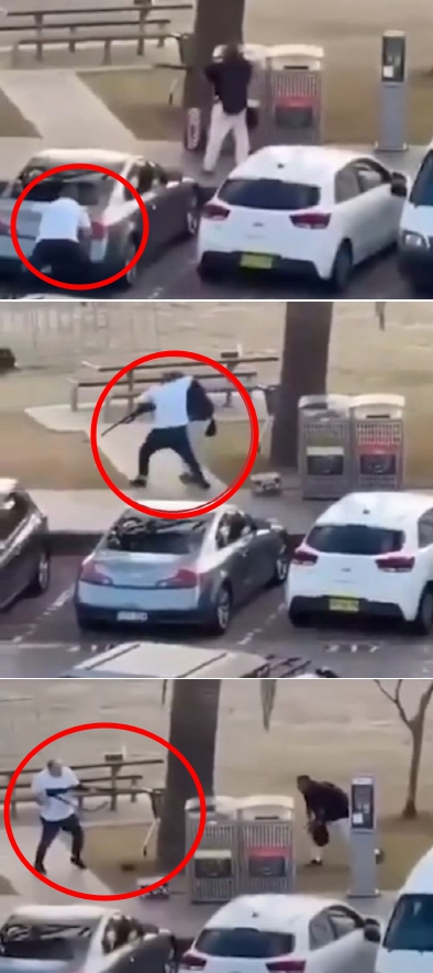 ▲아랍계로 추정되는 40대 남성이 14일(현지시간) 호주 시드니 총격범을 맨손으로 제압하고 있다. (출처 시드니모닝헤럴드 SNS 동영상 캡처 )