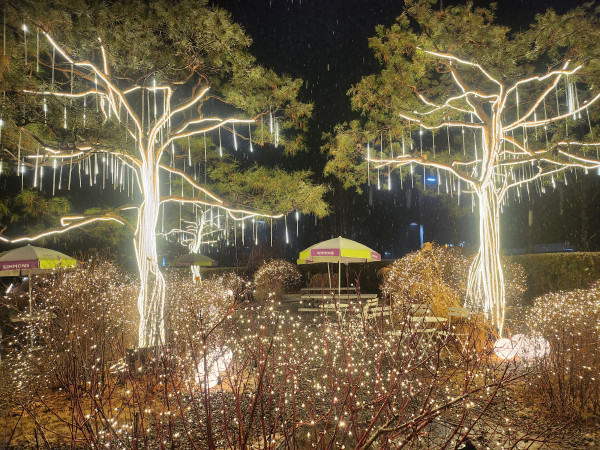 (김동효 기자 sorahosi@.)