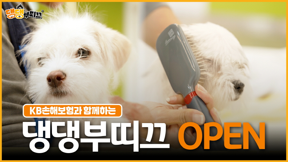 ▲KB손해보험이 건강하고 성숙한 반려문화 확산을 위해 제작한 신규 영상 콘텐츠 ‘댕댕부티크’를 KB손해보험 공식 유튜브 채널을 통해 16일 공개했다. (제공 KB손해보험)