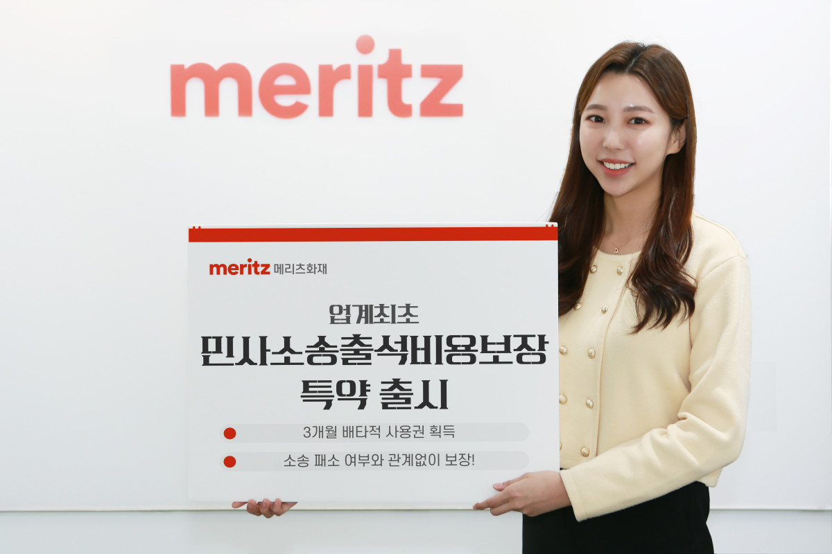(제공 메리츠화재)
