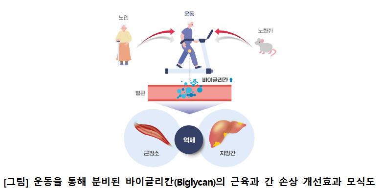 (사진=국립보건연구원)