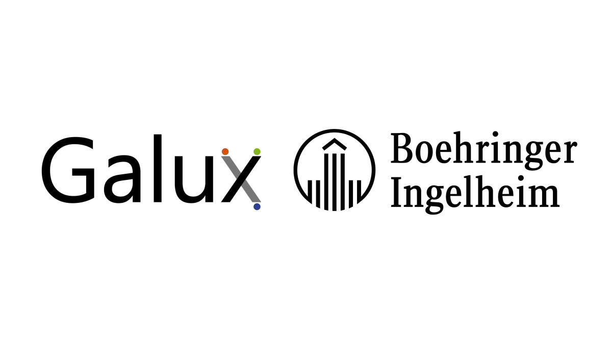 ▲양사 CI. (사진제공=갤럭스)