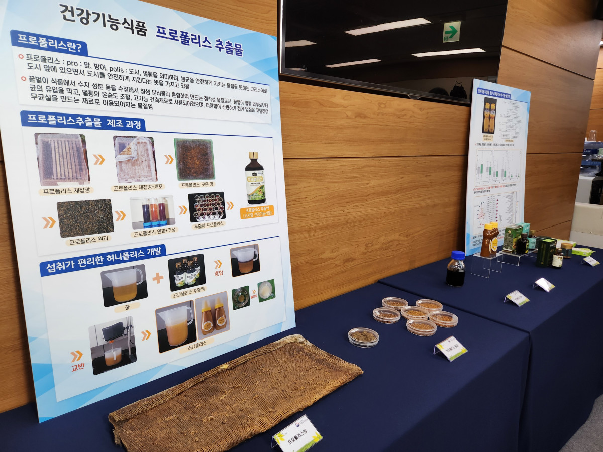 ▲농촌진흥청은 18일 정부세종청사에서 브리핑을 열고 프로폴리스 추출물이 면역세포 조절에 직접 작용해 과도한 면역 반응을 억제한다는 사실을 확인했다고 밝혔다. 사진은 프로폴리스 연구 개요와 관련 물품. (노승길 기자)