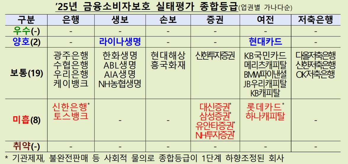 (제공 금융감독원)