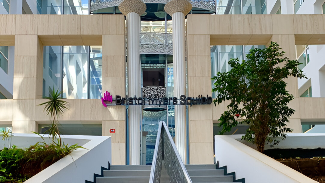 BMS, 中하버와 '차세대 다중항체' 발굴 11억弗 딜