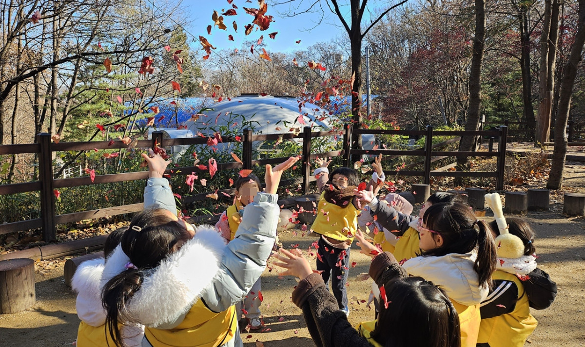▲2025년 관악구 유아숲체험원 활동 모습 (관악구청)