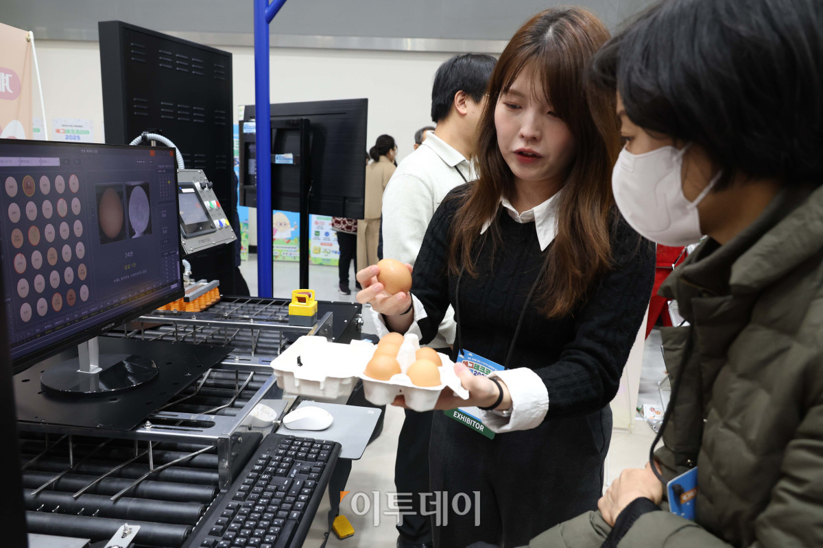 ▲19일 서울 양재 aT센터 제1전시장에서 열린 에그테크코리아 2025(EggTech Korea 2025)에서 관람객들이 부스를 둘러보고 있다. 21일까지 열리는 에그테크 코리아 2025는 '계란·미래·K-푸드·웰니스'를 키워드로 스마트 양계 기술부터 동물복지, 친환경 패키징, 건강한 먹거리까지 계란 산업 전반을 만나볼 수 있다. 고이란 기자 photorean@