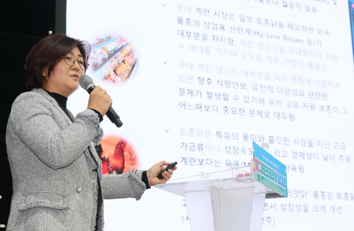 ▲19일 서울 서초구 aT센터에서 열린 ‘에그테크코리아 2025’(EggTech Korea 2025)에서 장애라 강원대 교수가 에그테크 심포지움 발표를 하고있다. 이투데이가 주최하는 '에그테크코리아 2025'는 스마트양계·스마트팜 기술, 동물복지 및 HACCP 생산공정, 로컬푸드 개발, 친환경 패키징, 유정란·디저트 등 건강한 먹거리 산업의 전 과정을 대중에 공개하는 국내 최초의 전시회로 21일 까지 진행된다. 이번 행사는 ‘계란·미래·K 푸드·웰니스’를 핵심 키워드로, 60개사 100부스가 참여하는 대규모 B2C·B2B 융합형 페스티벌로 꾸며진다. 1270만 구독자를 보유한 국내 대표 먹방 크리에이터 쯔양이 홍보대사로 나서며, 의학 유튜브 채널 ‘닥터프렌즈’(140만 구독자)와 '닥터딩요'(81만 구독자)가 건강·식품안전 관련 토크콘서트에 참여한다. 신태현 기자 holjjak@
