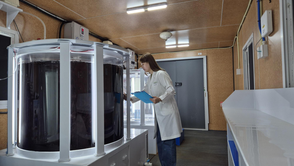 ▲풀무원기술원 연구원이 바이오리엑터로 불리는 큰 수조 안에서 재배되고 있는 육상 양식 김을 연구하고 있다. (사진제공=풀무원)