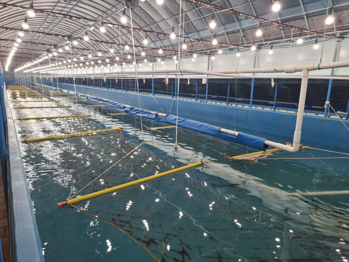 ▲대상이 김 육상양식을 위해 전남 고흥군에 조성했던 1차 시범 양식장. (사진제공=대상)