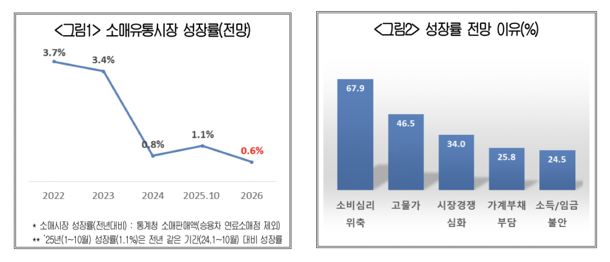 ▲'소매유통시장 성장률(전망)'과 '성장률 전망 이유' (사진제공-대한상공회의소)