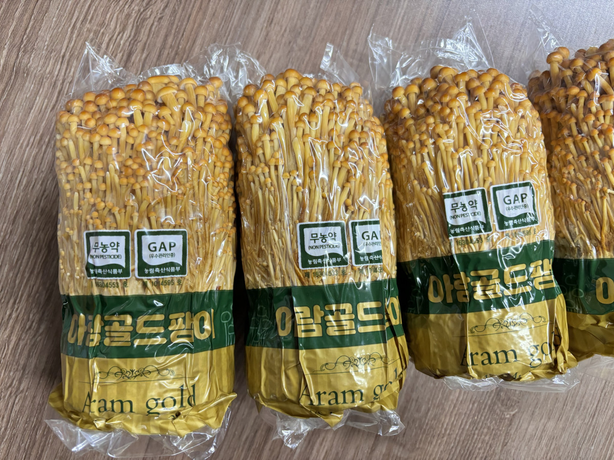 ▲골드 팽이버섯 '아람' (사진제공=농촌진흥청)