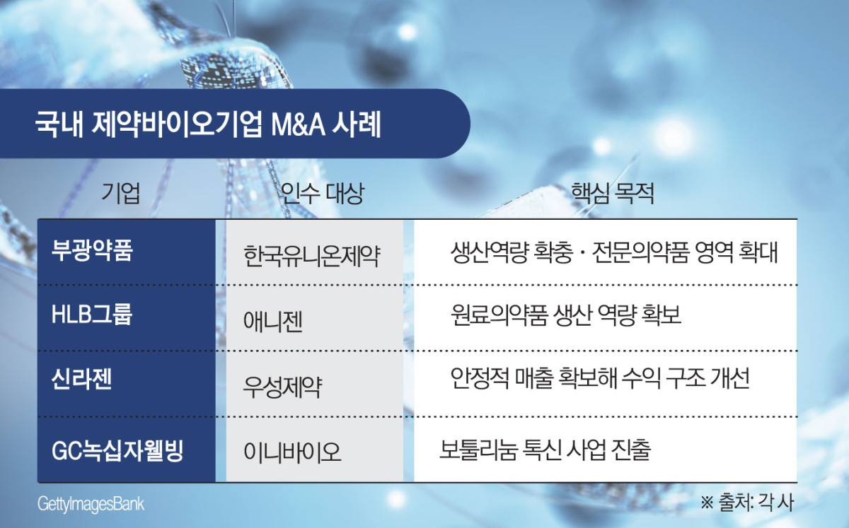 (그래픽=김소영 기자 sue@)