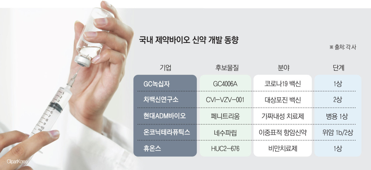 (그래픽=김소영 기자 sue@)