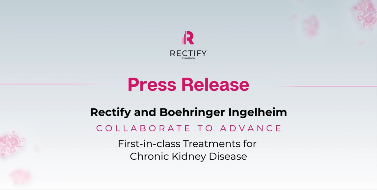 베링거, 렉티파이와 CKD ‘ABCC6 강화제’ 4.48억弗 딜