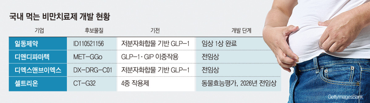 (그래픽=손미경 기자 sssmk@)