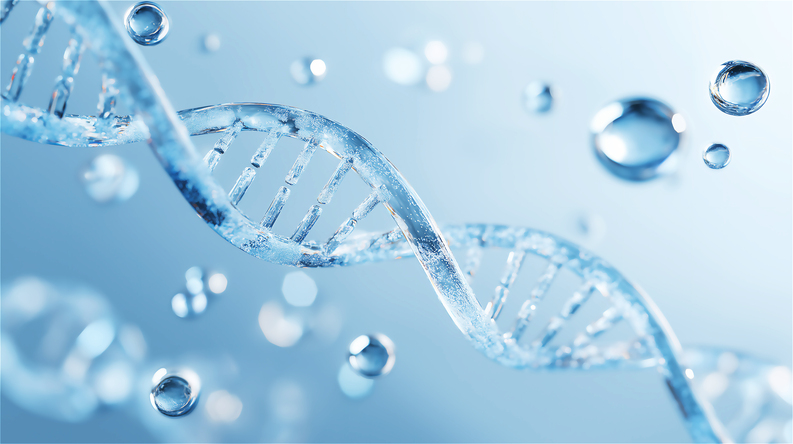 (게티이미지뱅크)