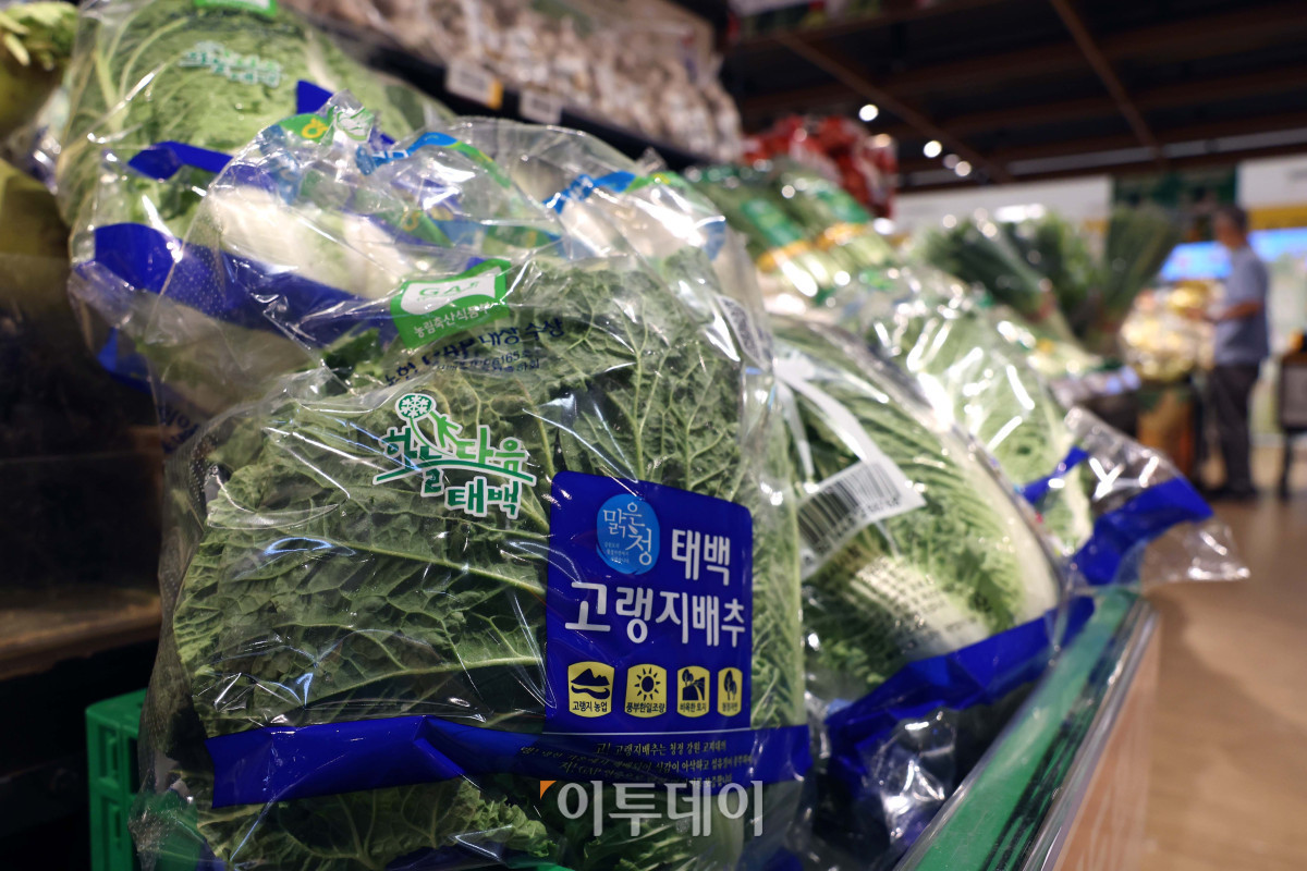 ▲서울의 한 대형마트에 배추가 진열되어 있다.  (이투데이DB)