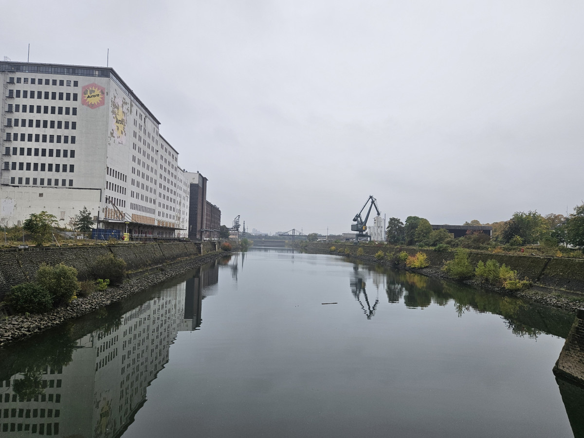 ▲라인강을 따라 조성될 주택공급 지구. (김지영 기자 kjy42)