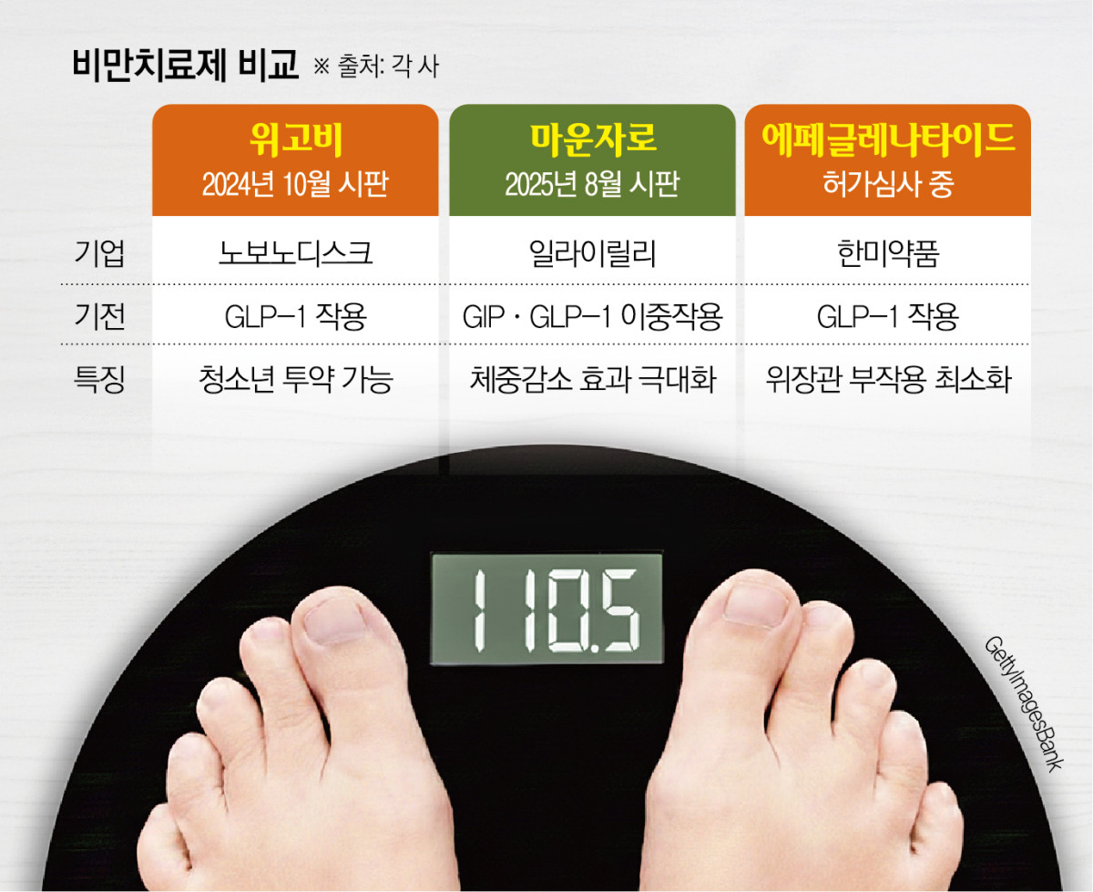 (그래픽=신미영 기자 win8226@)