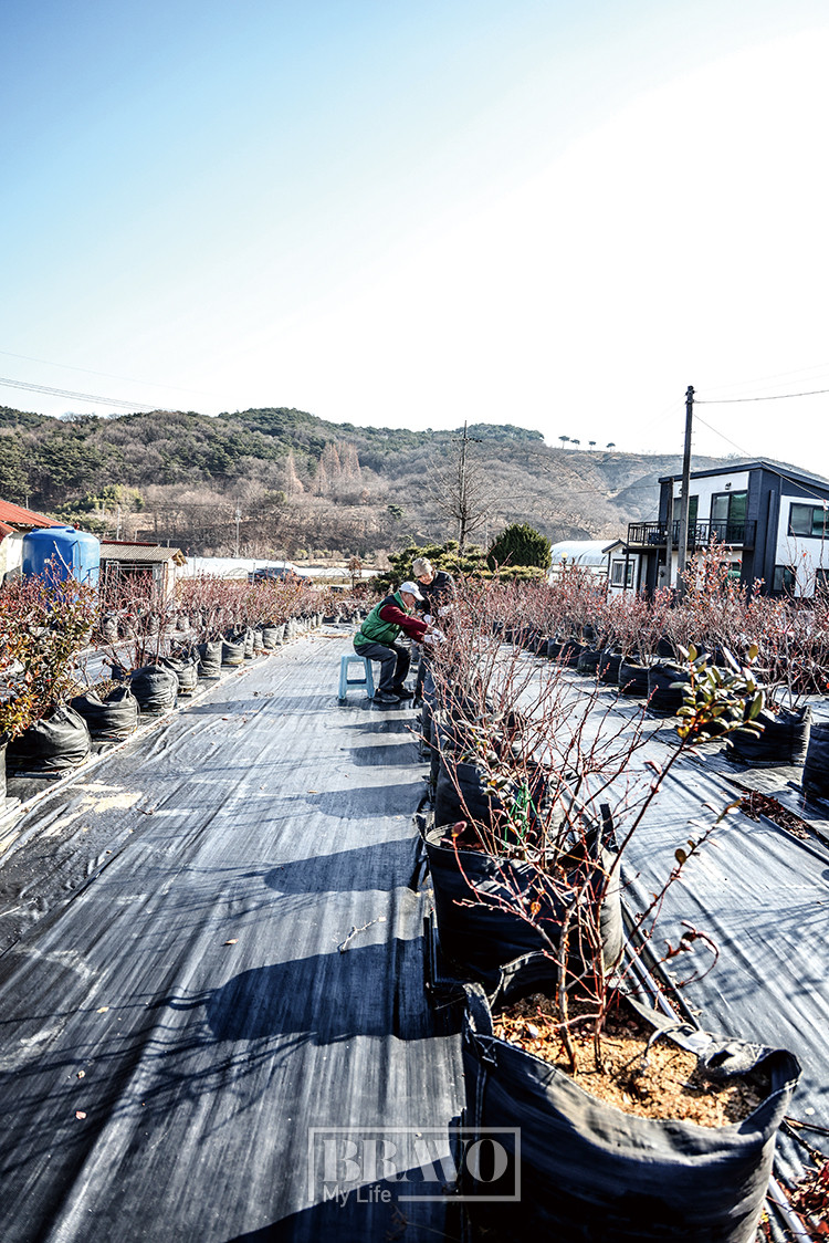 (주민욱 프리랜서)