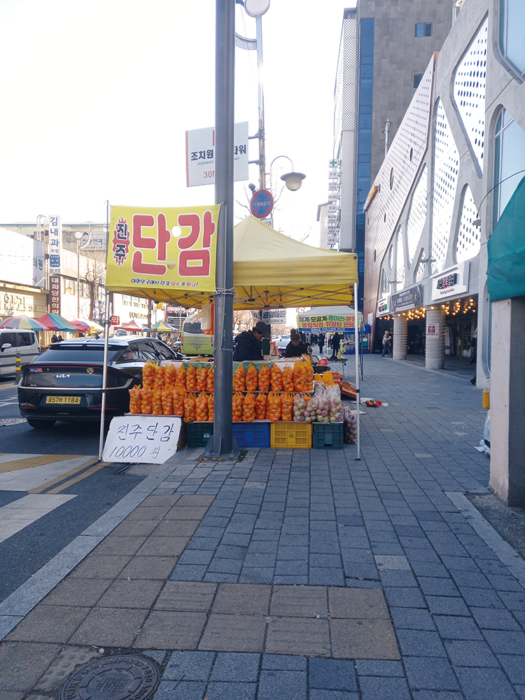 (함인희 이화여자대학교 사회학과 명예교수)