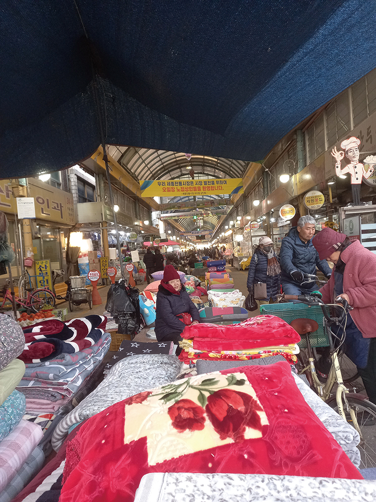 (함인희 이화여자대학교 사회학과 명예교수)