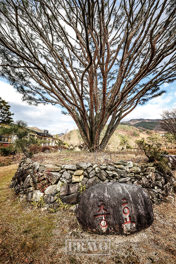 (주민욱 프리랜서)