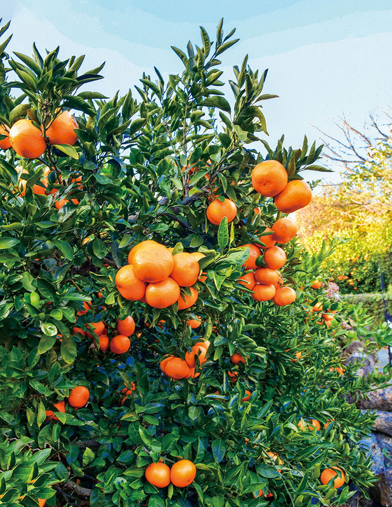 (이현숙 여행작가)