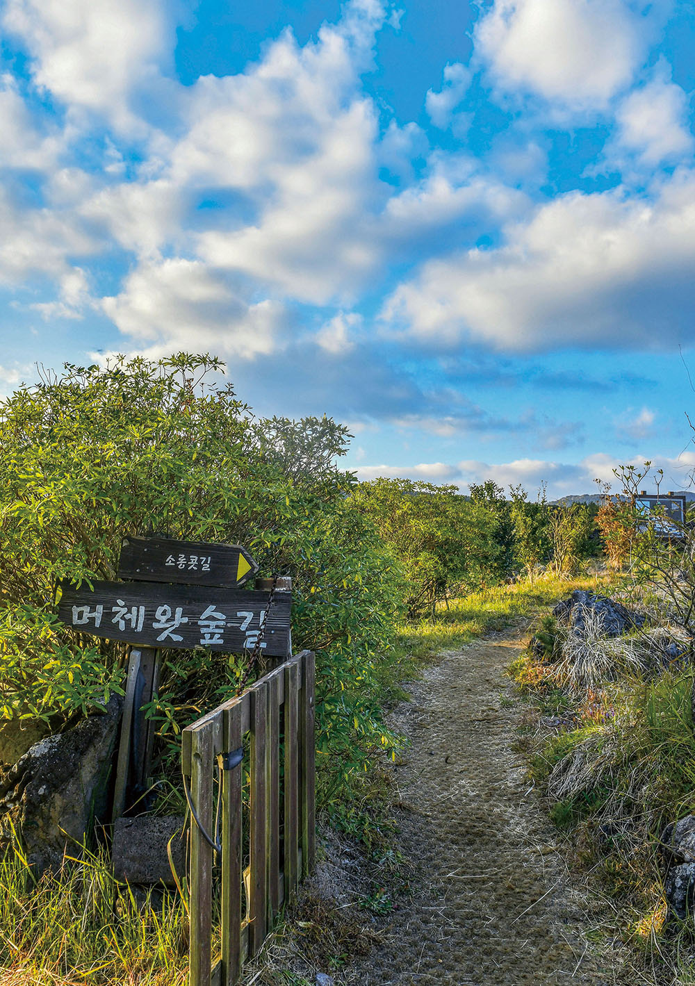 (이현숙 여행작가)
