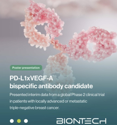 바이오엔텍-BMS, ‘PD-L1xVEGF’ TNBC 2상 "ORR 61.5%"