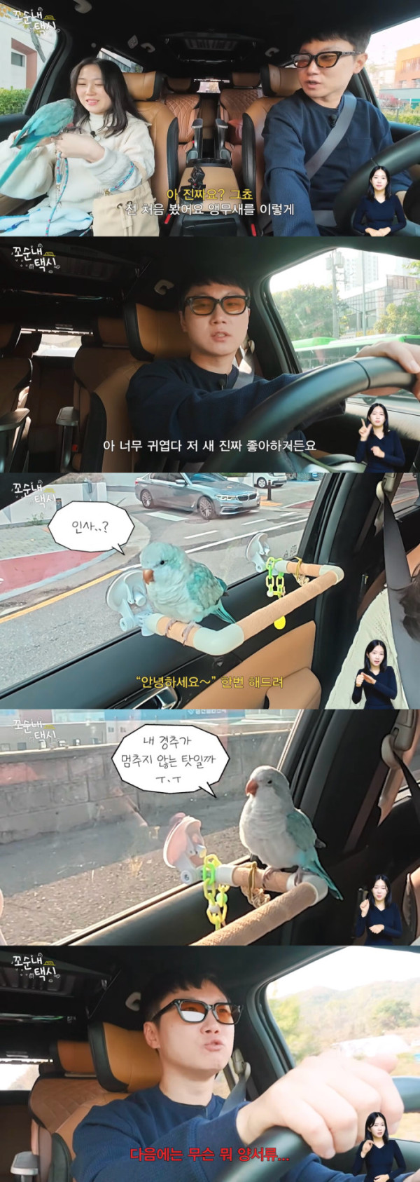 ▲‘꼬순내택시’(사진 제공 = 유튜브 ‘꼬순내택시’)