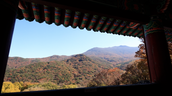 ▲'동네한바퀴' 광주 (사진제공=KBS 1TV)