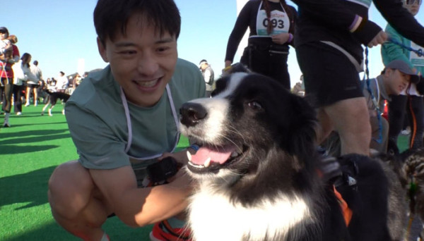 ▲'TV동물농장' (사진제공=SBS )