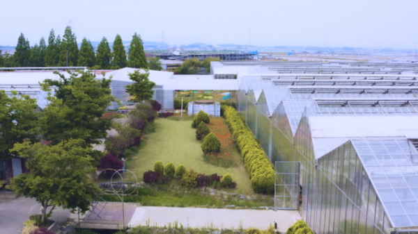 ▲'같이삽시다' 아산 (사진제공=KBS 2TV)