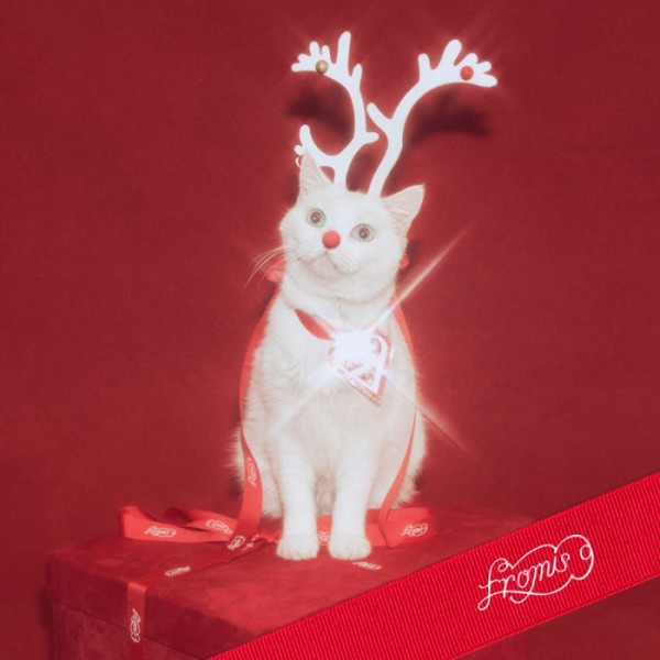 ▲프로미스나인 '하얀 그리움' 커버(사진제공=어센드)