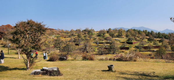 ▲풍설기천년(브라보 마이 라이프)