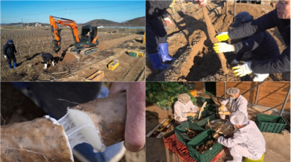 ▲'극한직업' (사진제공=EBS1 )