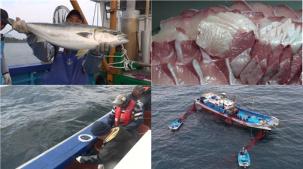 ▲'극한직업' (사진제공=EBS1 )