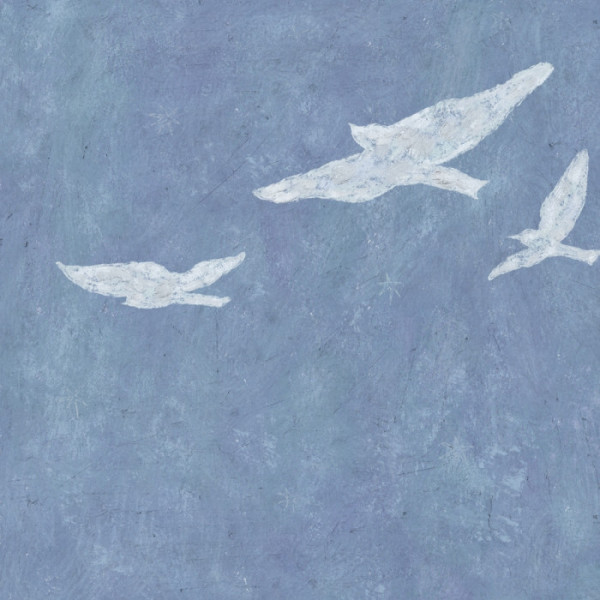 ▲빌리어코스티(사진 = 재뉴어리 제공)