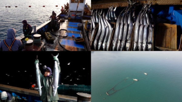 ▲'극한직업' (사진제공=EBS1 )