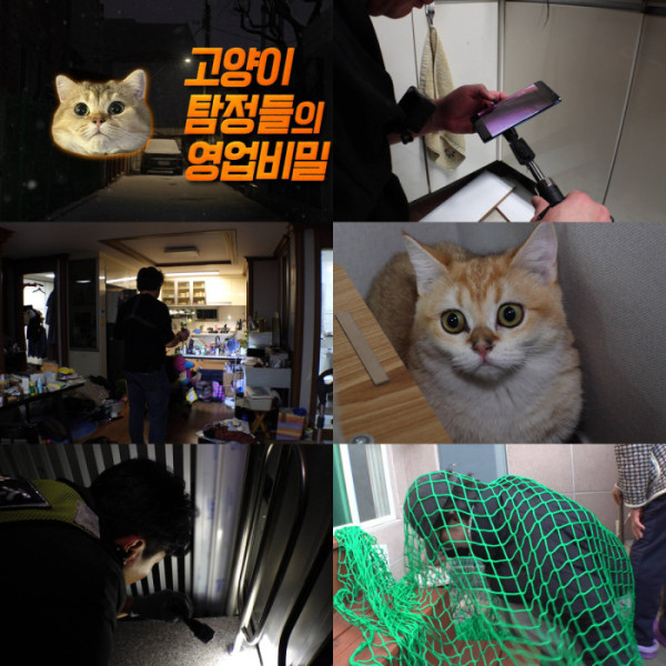 ▲'TV 동물농장' (사진제공=SBS )