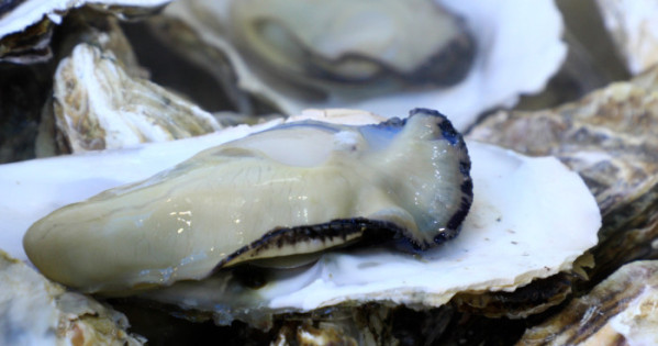 ▲'한국기행' (사진제공=EBS1 )