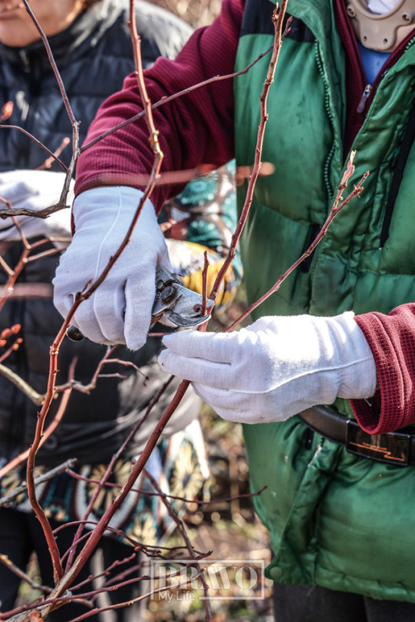 (주민욱 프리랜서)